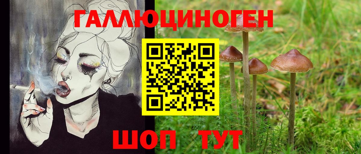 Псилоцибиновые грибы прущие грибы Королёв