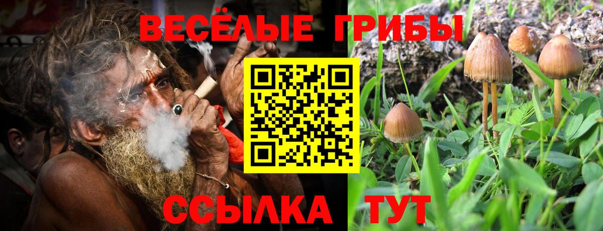 Королёв  Псилоцибиновые грибы MAGIC MUSHROOMS  Вход с VPN  Галлюциногенные грибы Magic Shrooms 